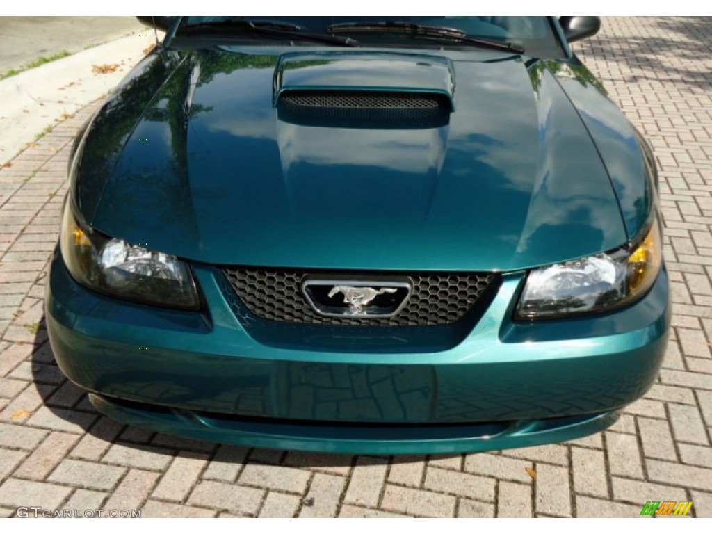 2002 Mustang GT Coupe - Tropic Green Metallic / Dark Charcoal photo #34
