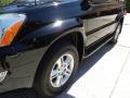 Black Onyx - GX 470 Photo No. 41