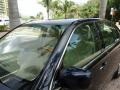 Blue Onyx Pearl - LS 430 Photo No. 11