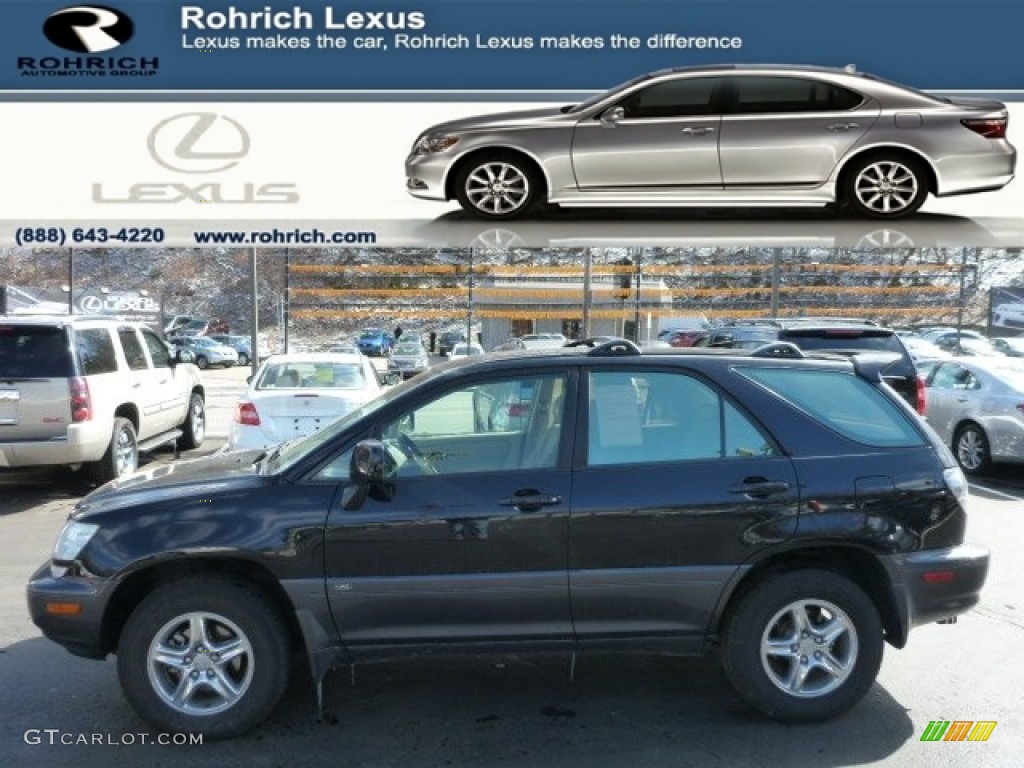 2001 RX 300 AWD - Black Onyx / Ivory photo #1