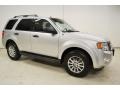 Ingot Silver Metallic 2010 Ford Escape XLT V6 Exterior