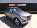 Palladium Silver Metallic - ML 350 4Matic Photo No. 1