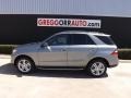 Palladium Silver Metallic - ML 350 4Matic Photo No. 4