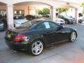 Black - SLK 55 AMG Roadster Photo No. 4