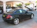 2009 Black Mercedes-Benz SLK 55 AMG Roadster  photo #4