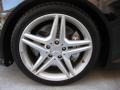 2009 Mercedes-Benz SLK 55 AMG Roadster Wheel and Tire Photo