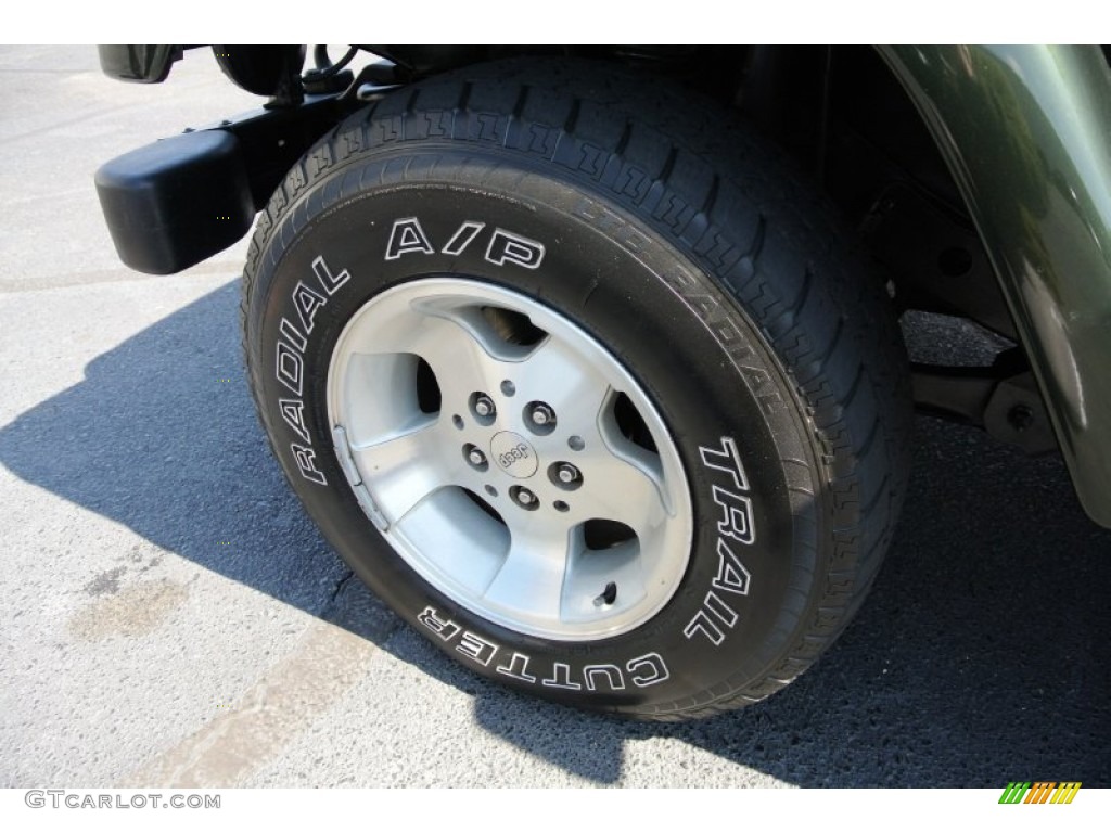 1998 Jeep Wrangler Sahara 4x4 Wheel Photo #78049873