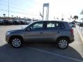 Alpine Grey Metallic - Tiguan S 4Motion Photo No. 4