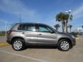 Alpine Grey Metallic - Tiguan S 4Motion Photo No. 8