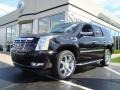 Black Raven - Escalade AWD Photo No. 1