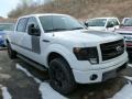 Oxford White 2013 Ford F150 Gallery