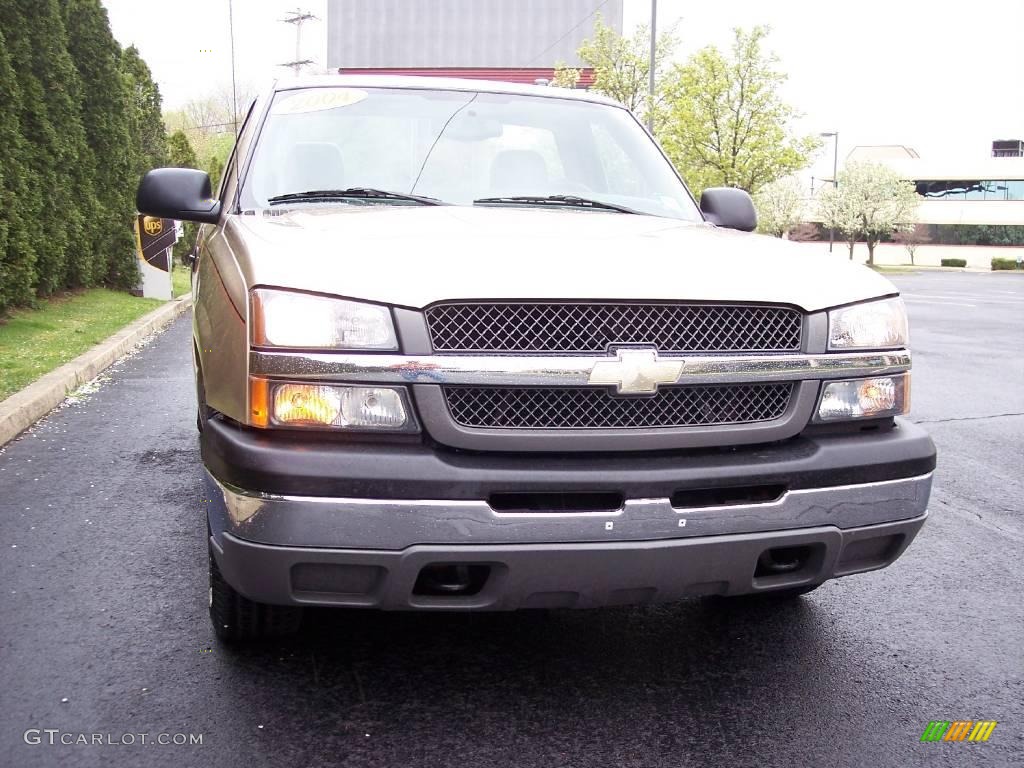 2004 Silverado 1500 Regular Cab - Sandstone Metallic / Dark Charcoal photo #10