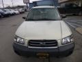 Champagne Gold Opalescent - Forester 2.5 X Photo No. 2