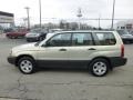 Champagne Gold Opalescent - Forester 2.5 X Photo No. 8