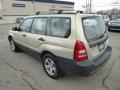 Champagne Gold Opalescent - Forester 2.5 X Photo No. 9