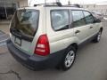 Champagne Gold Opalescent - Forester 2.5 X Photo No. 11