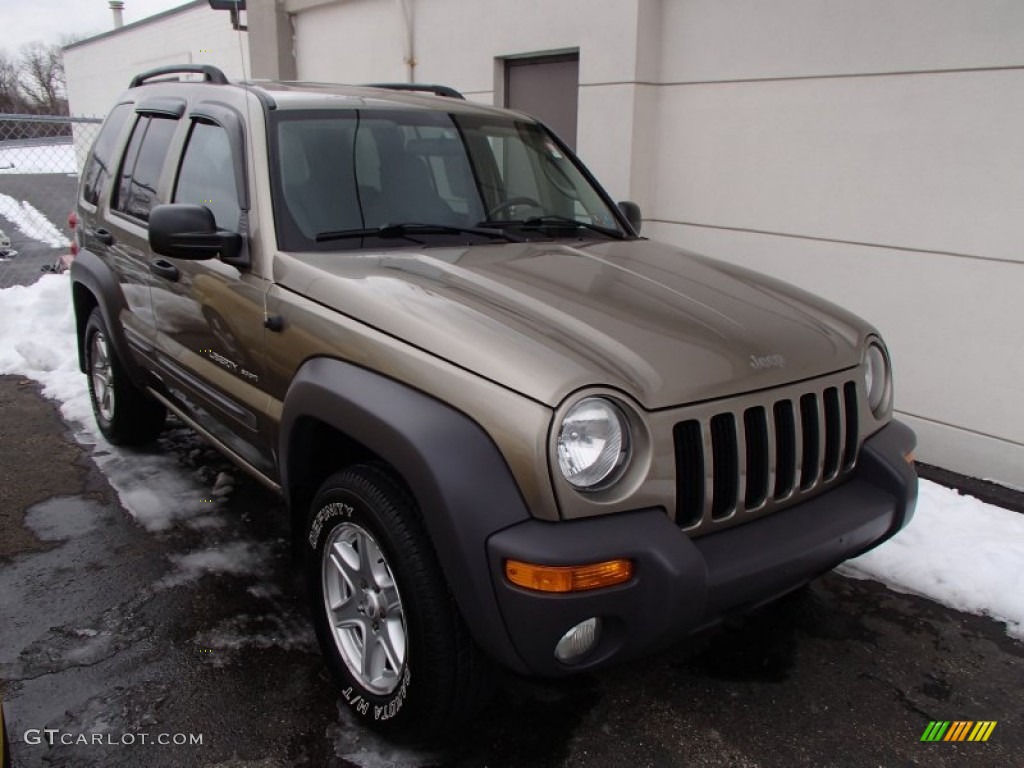 Light Khaki Metallic 2003 Jeep Liberty Sport 4x4 Exterior Photo #78086732