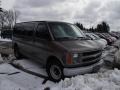 2002 Medium Bronzemist Metallic Chevrolet Express 3500 Passenger Van #78076789