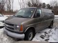 Medium Bronzemist Metallic - Express 3500 Passenger Van Photo No. 3
