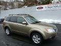 2009 Topaz Gold Metallic Subaru Forester 2.5 X Premium  photo #1