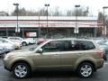 2009 Topaz Gold Metallic Subaru Forester 2.5 X Premium  photo #2