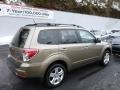 2009 Topaz Gold Metallic Subaru Forester 2.5 X Premium  photo #11