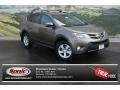 Pyrite Mica - RAV4 XLE AWD Photo No. 1
