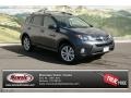 2013 Magnetic Gray Metallic Toyota RAV4 Limited AWD  photo #1