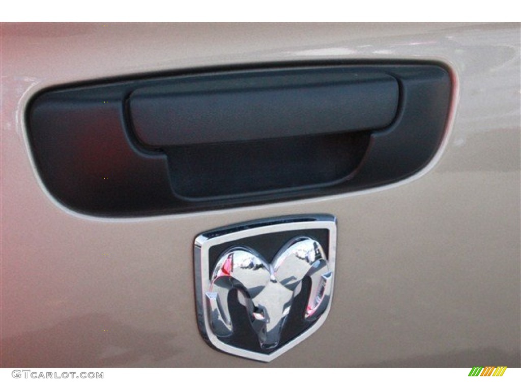 2008 Ram 1500 Lone Star Edition Quad Cab 4x4 - Light Khaki Metallic / Medium Slate Gray photo #10