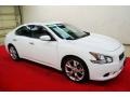 Winter Frost White - Maxima 3.5 SV Photo No. 1