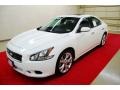 Winter Frost White - Maxima 3.5 SV Photo No. 3