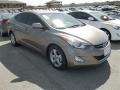 Desert Bronze - Elantra GLS Photo No. 6