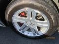 Bright Silver Metallic - Charger R/T Photo No. 6