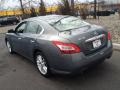 Dark Slate Metallic - Maxima 3.5 SV Photo No. 5
