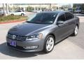 Platinum Gray Metallic - Passat V6 SE Photo No. 3