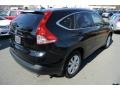 Crystal Black Pearl - CR-V EX-L Photo No. 5