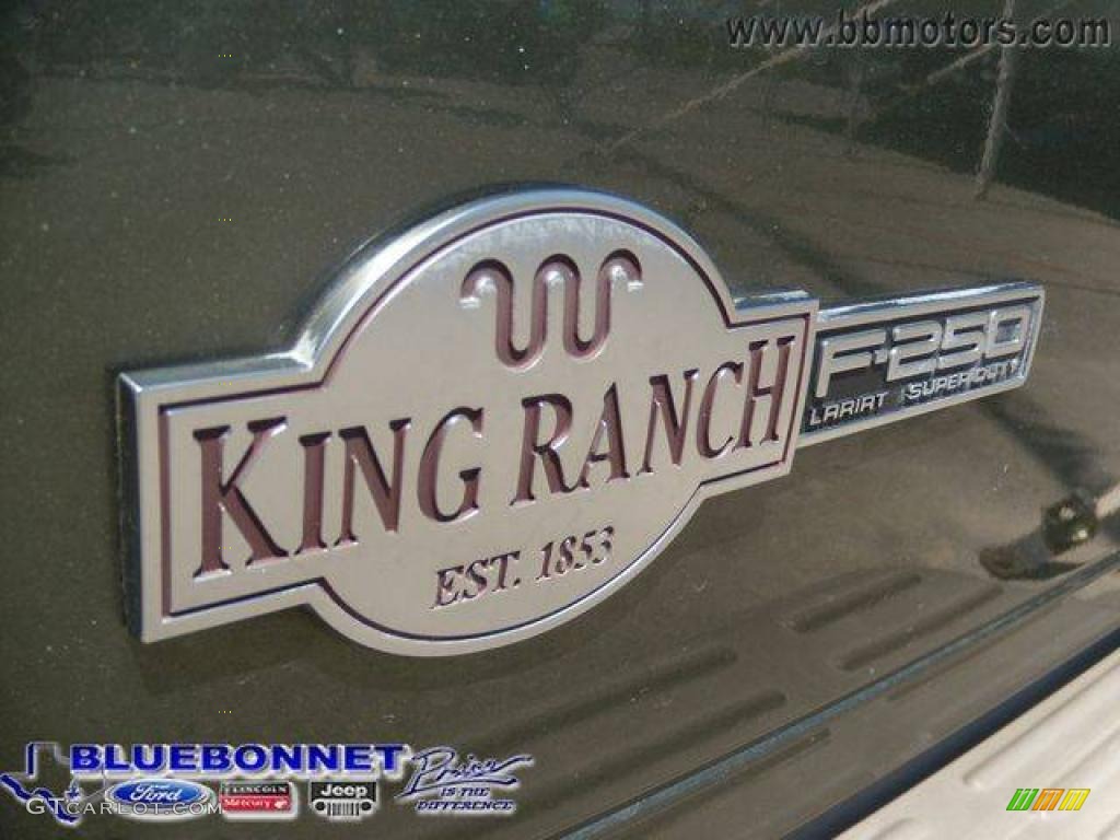 2004 F250 Super Duty King Ranch Crew Cab 4x4 - Estate Green Metallic / Castano Leather photo #8