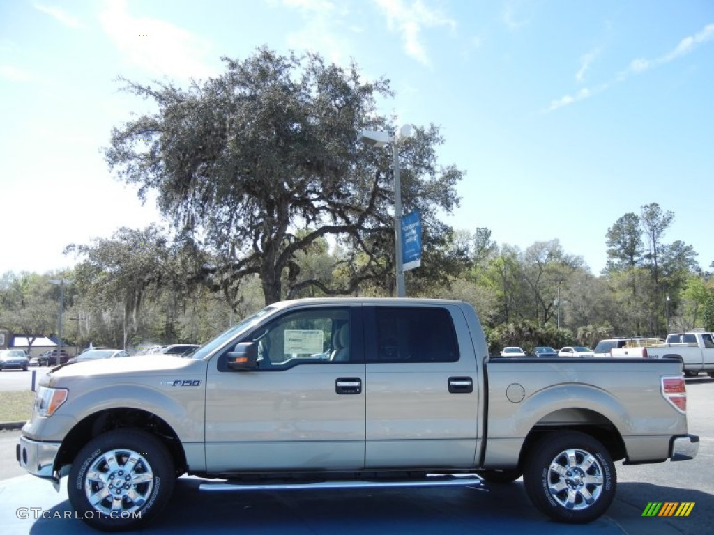 2013 F150 XLT SuperCrew - Pale Adobe Metallic / Adobe photo #2