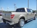 2013 Pale Adobe Metallic Ford F150 XLT SuperCrew  photo #3