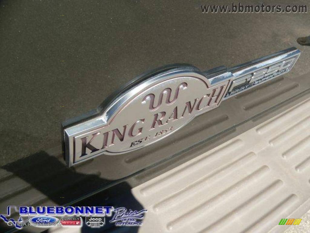 2004 F250 Super Duty King Ranch Crew Cab 4x4 - Estate Green Metallic / Castano Leather photo #18