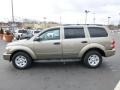 2005 Light Khaki Metallic Dodge Durango SLT 4x4  photo #6