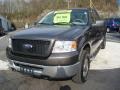 2006 Dark Stone Metallic Ford F150 XLT SuperCab 4x4  photo #8