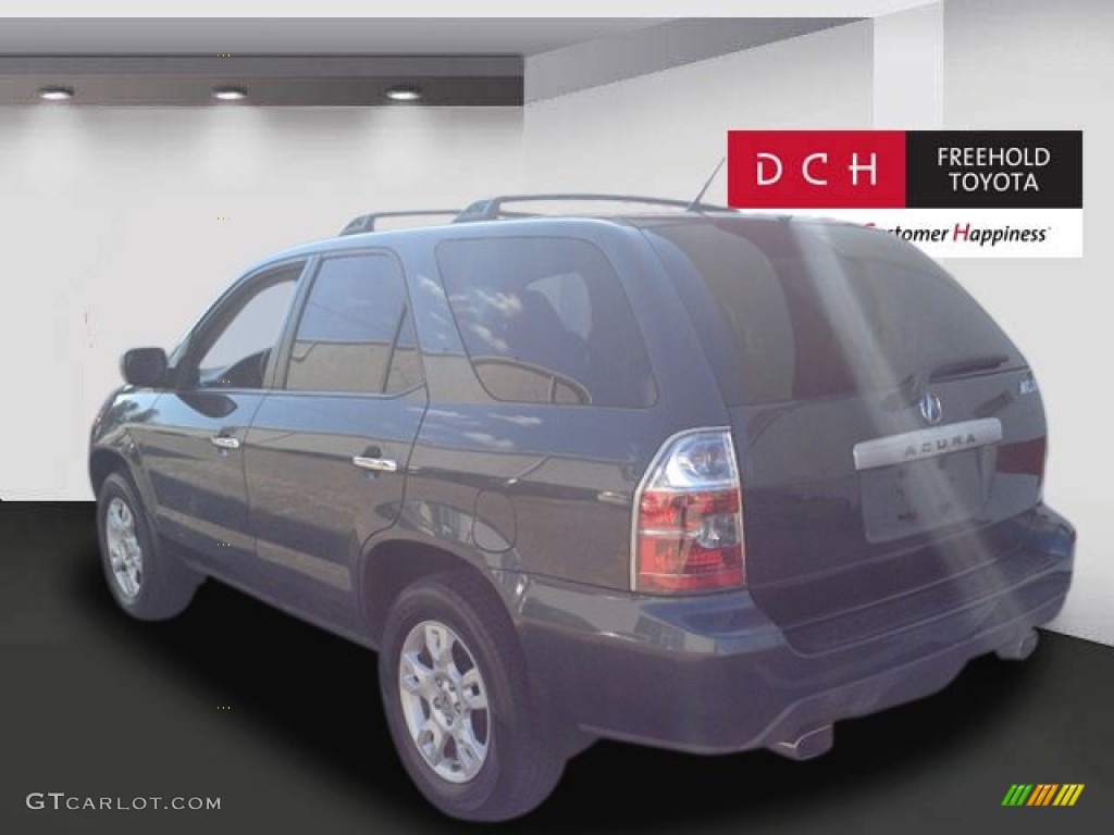 2004 MDX  - Sagebrush Pearl / Ebony photo #4