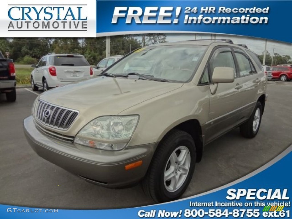 2003 RX 300 - Burnished Gold Metallic / Ivory photo #1