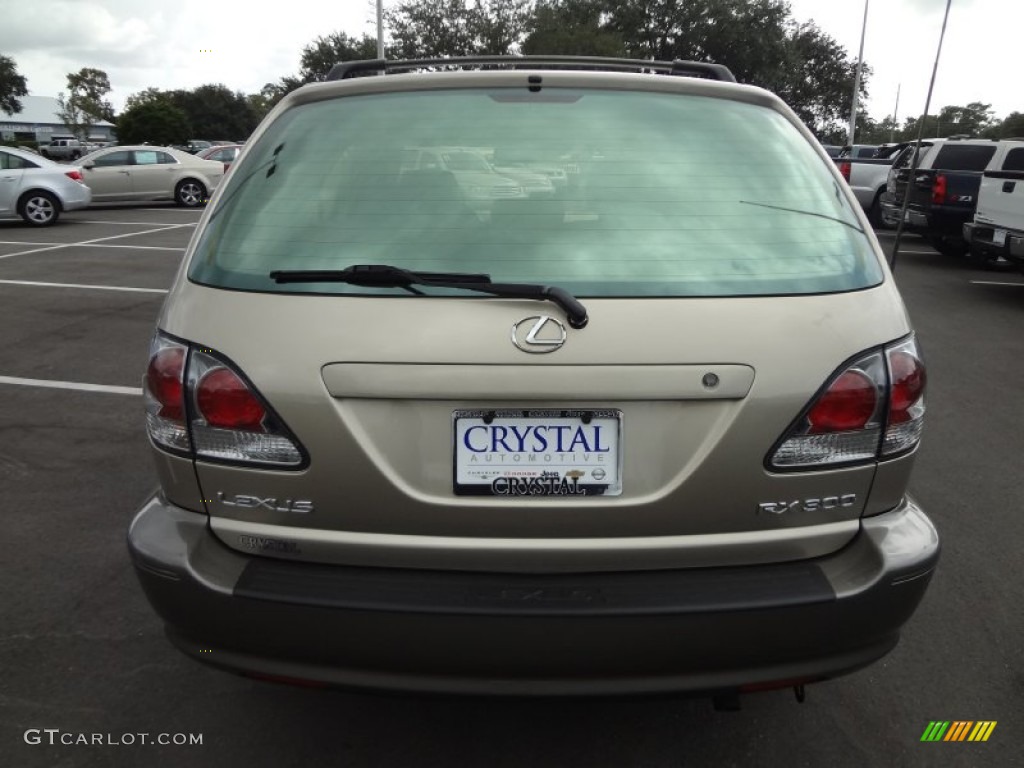 2003 RX 300 - Burnished Gold Metallic / Ivory photo #8