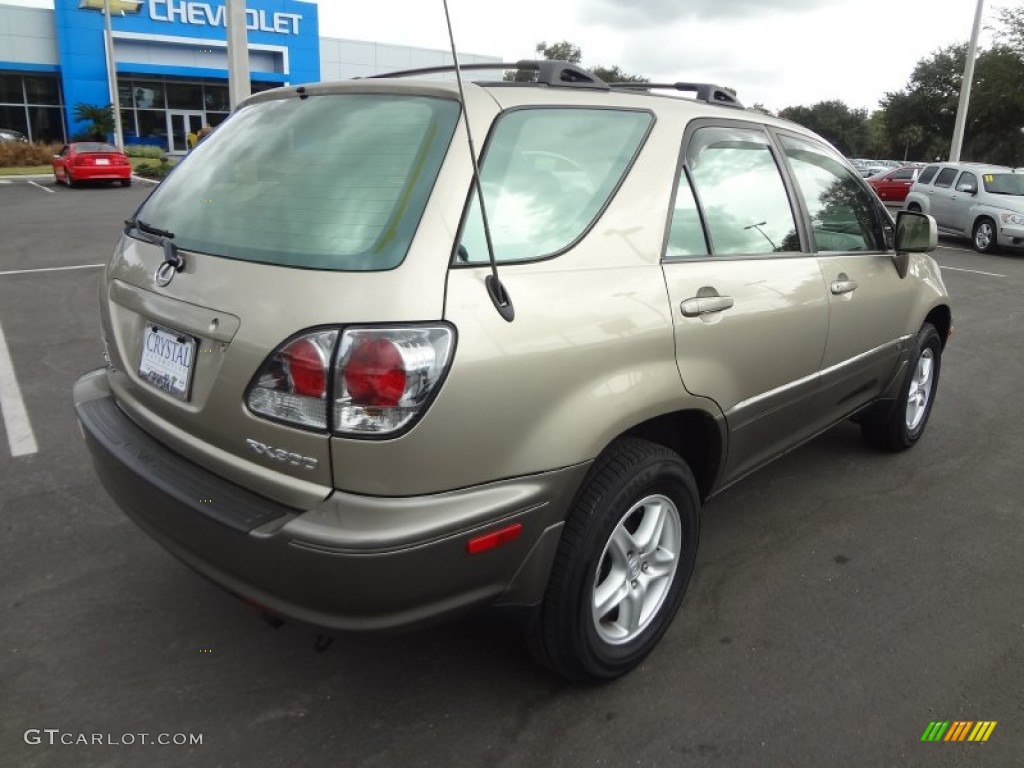 2003 RX 300 - Burnished Gold Metallic / Ivory photo #9