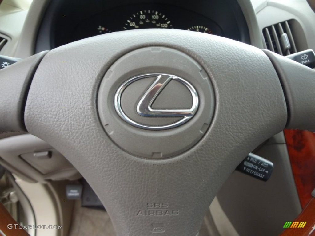 2003 RX 300 - Burnished Gold Metallic / Ivory photo #24