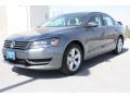 Platinum Gray Metallic - Passat 2.5L SE Photo No. 3