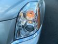 Light Platinum - DTS Luxury II Photo No. 9