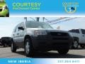 2004 Satin Silver Metallic Ford Escape XLS V6  photo #1